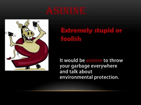 asinine