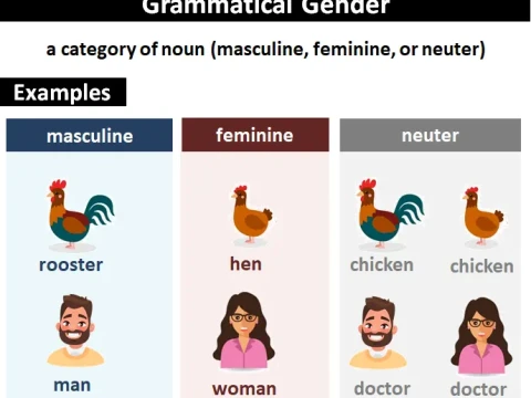 gender