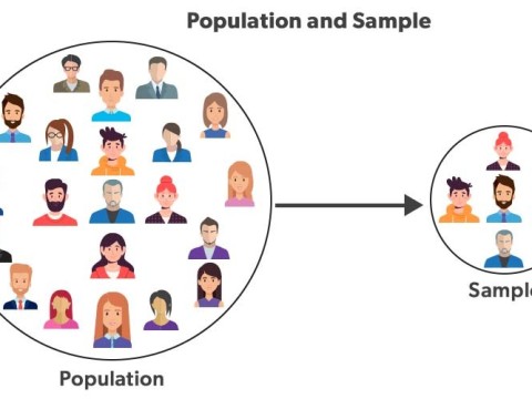 statistics