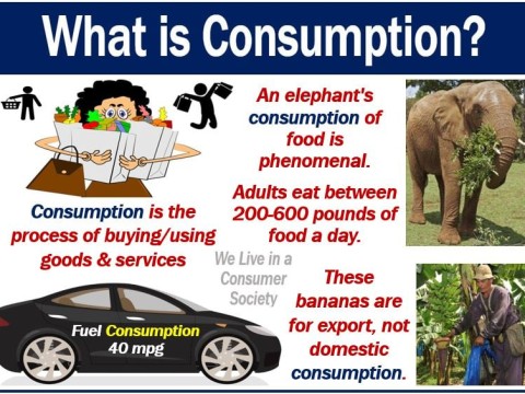 consumption