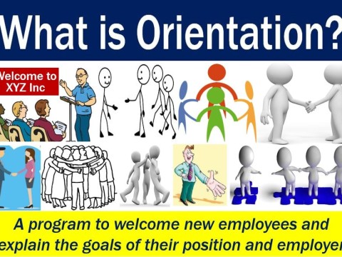 orientation