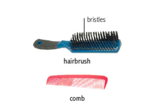 brush