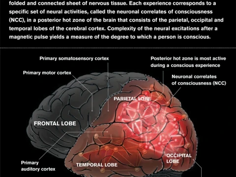 consciousness