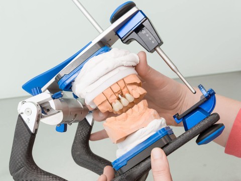 articulator