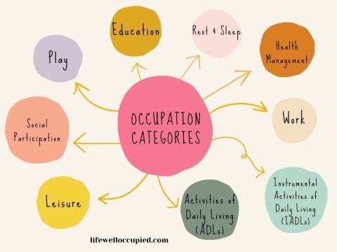 occupation