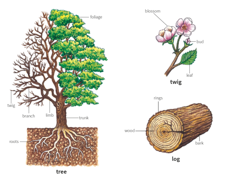 log