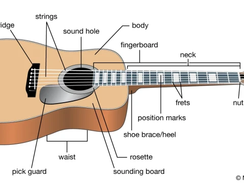 guitar