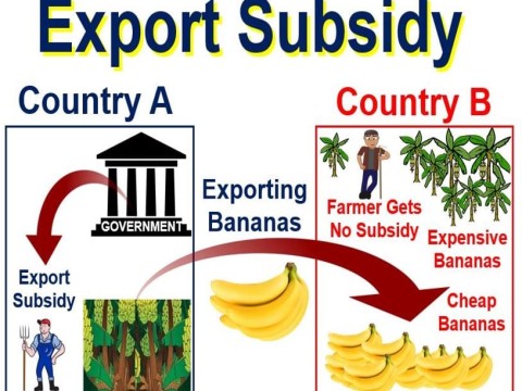 subsidy