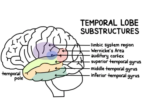 temporal