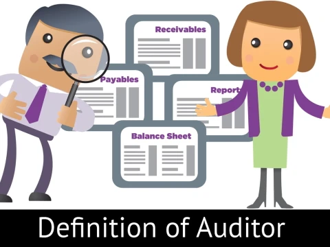 auditor