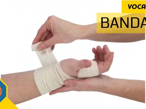 bandage