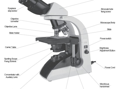 microscopic